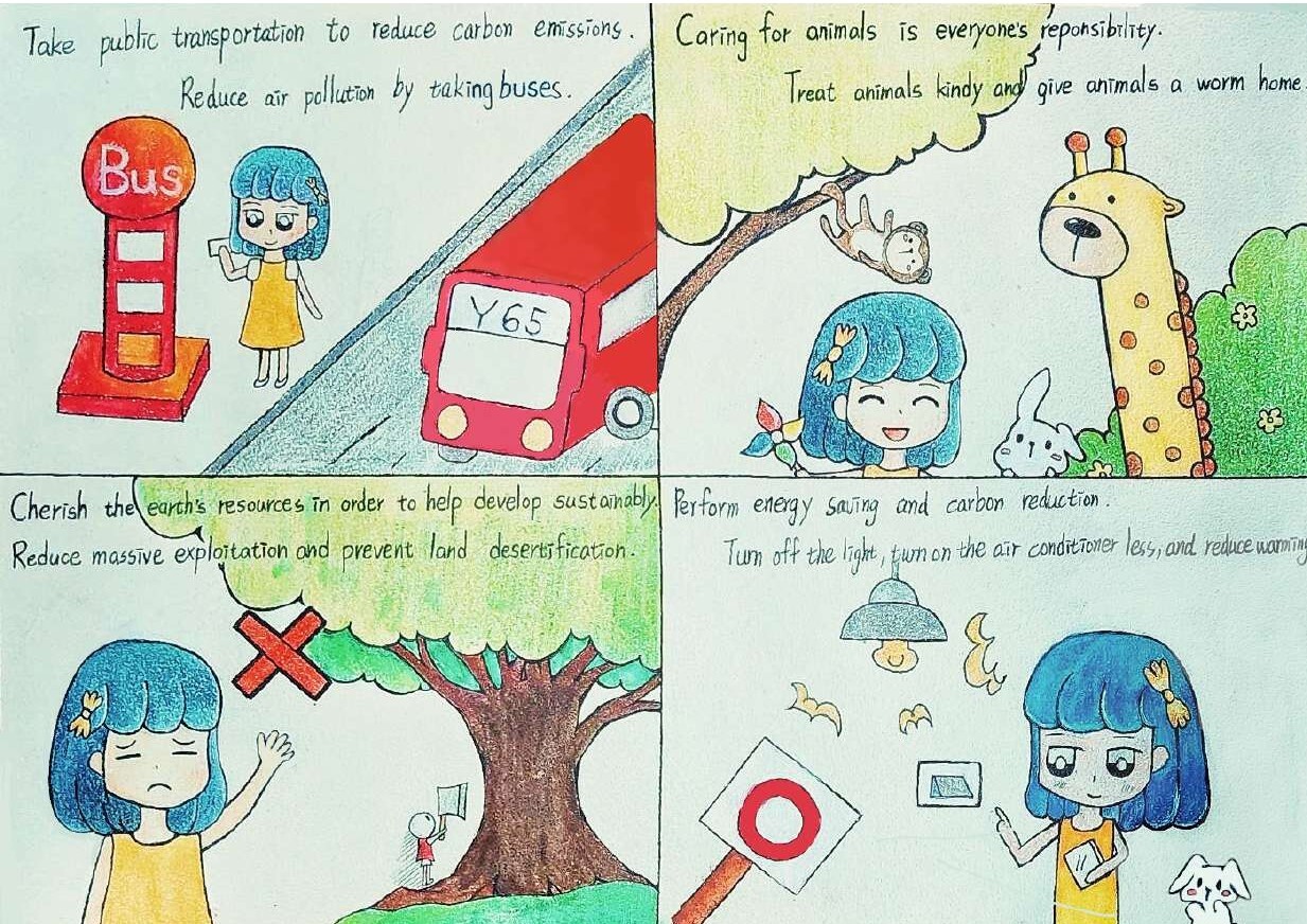 Life on Land